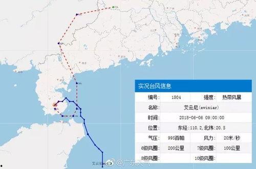徐闻最新爆料,揭秘事件背后惊人真相  第3张