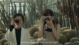 摄影师角色故事视频爆料  第1张